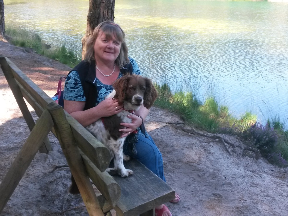 March 2022 Newsletter